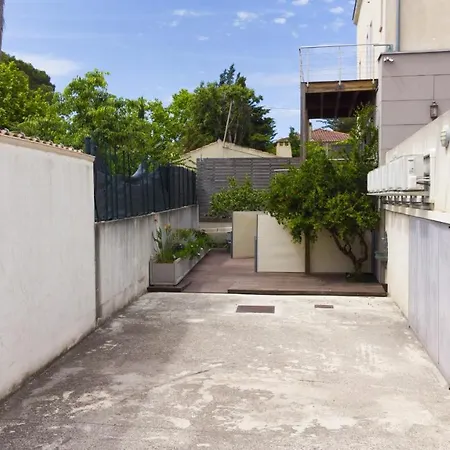 Rainette * Saint-Cyr-sur-Mer