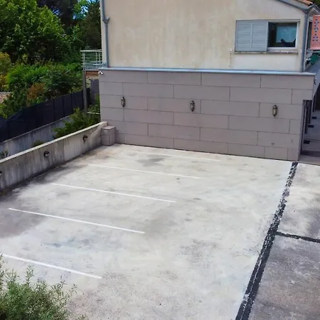 Rainette * Saint-Cyr-sur-Mer