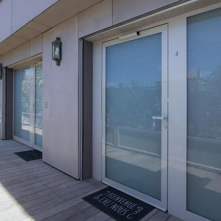 Rainette * Saint-Cyr-sur-Mer