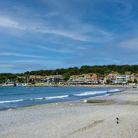 Rainette Saint-Cyr-sur-Mer