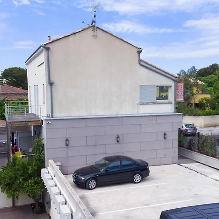 Rainette * Saint-Cyr-sur-Mer