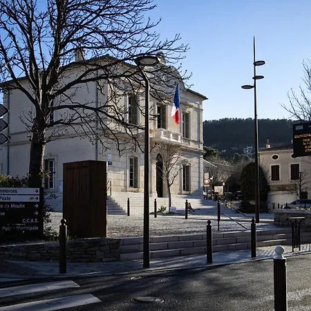 Rainette * Saint-Cyr-sur-Mer